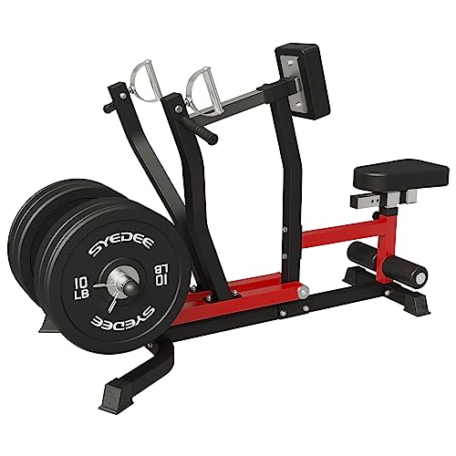 syedee Seated Row Machine for Upper Body Training