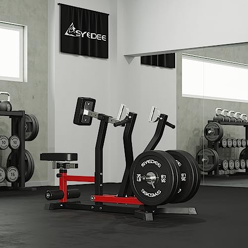 syedee Seated Row Machine for Upper Body Training