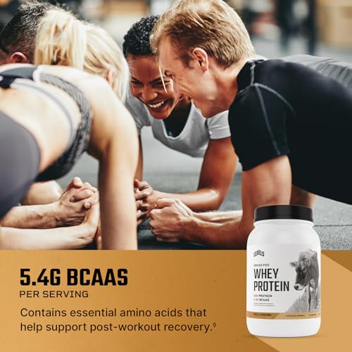 Levels Grass Fed 100% Whey Protein, No Hormones, Vanilla Cinnamon, 2LB
