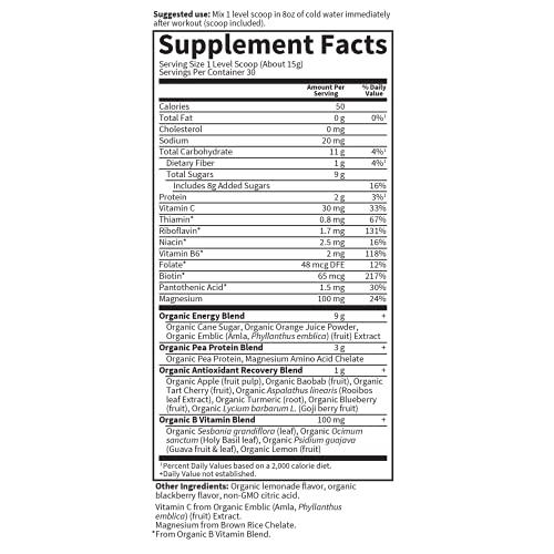 Garden of Life Sport Organic Post Workout Recovery Drink Antioxidant Supplement, Vegan, BlackBerry Lemonade, 15.7oz (446g) Powder *Packaging May Vary*