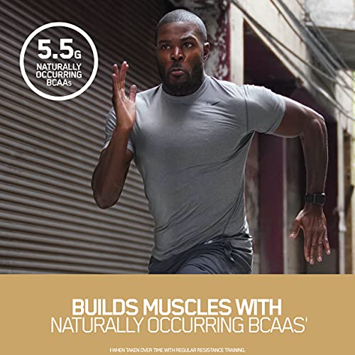 Gold Standard Whey Protein Powder, Vanilla Flavor