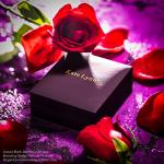 Phoenix Crystal Pendant Necklace for Women