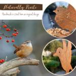 5PCS Rustic Metal Bird Yard Decor Set