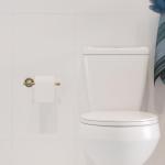 Vintage Brass Wall-Mount Toilet Paper Holder