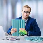 30-Piece Colorful Decorative File Folders Set