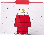 Snoopy File Folder Set with Gold Foil