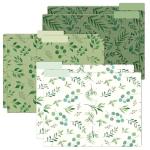 6 Pack Eucalyptus Decorative File Folders 8.5x11