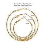 Gold and Silver Plated Hoop Earrings Set
