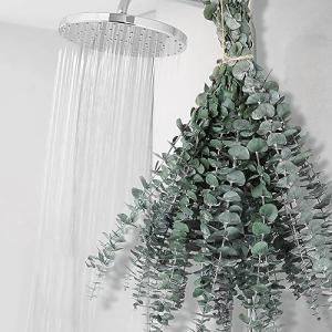 12-Piece Dried Eucalyptus Shower Plant Set