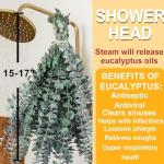 12-Piece Dried Eucalyptus Shower Plant Set