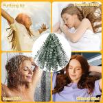 12-Piece Dried Eucalyptus Shower Plant Set