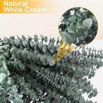 12-Piece Dried Eucalyptus Shower Plant Set