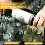 12-Piece Dried Eucalyptus Shower Plant Set