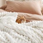 Bedsure White Fleece Throw Blanket - Super Soft Cozy