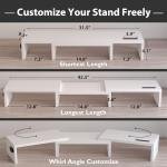 Dual Monitor Stand with Smartphone Holder and Organizer