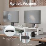 Dual Monitor Stand with Smartphone Holder and Organizer