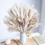 96PCS Dried Pampas Grass for Home and Weddings