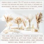 96PCS Dried Pampas Grass for Home and Weddings