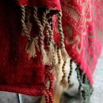 Cozy Boho Chenille Throw Blanket with Tassels