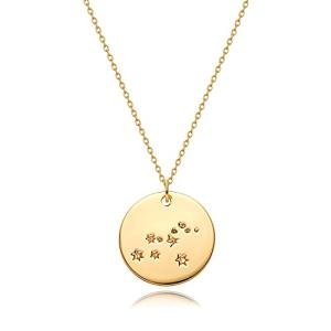 Gold Zodiac Coin Necklace with Leo Pendant