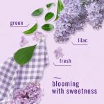 Febreze Odor-Fighting Air Freshener, Watermelon & Lilac