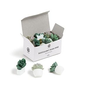 Succulent Push Pins Set - 9 Count Assorted Styles