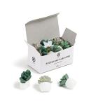 Succulent Push Pins Set - 9 Count Assorted Styles