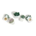 Succulent Push Pins Set - 9 Count Assorted Styles