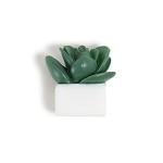 Succulent Push Pins Set - 9 Count Assorted Styles