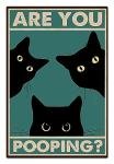 Funny Black Cat Bathroom Wall Art Poster
