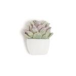 Succulent Push Pins Set - 9 Count Assorted Styles