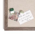 Succulent Push Pins Set - 9 Count Assorted Styles