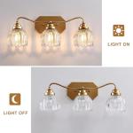 Gold Vintage Bathroom Light Fixture with Crystal Shade