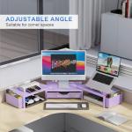 Gianotter Dual Monitor Stand with Drawer and Holders