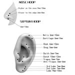 ORANGELOVE Hypoallergenic Surgical Steel Nose Rings