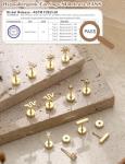 Trendy Hypoallergenic Gold Flat Back Stud Earrings