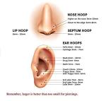 Teardrop Septum Ring in Gold 16G 8mm