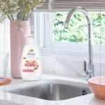 Dove Peach & Rice Milk Hand Wash 4-Pack