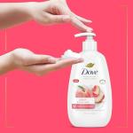 Dove Peach & Rice Milk Hand Wash 4-Pack