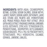 Dove Peach & Rice Milk Hand Wash 4-Pack