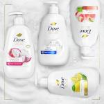 Dove Hand Wash 4 Pack: Dragonfruit & Coconut
