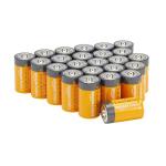24-Pack D Cell Alkaline Batteries, 1.5 Volt