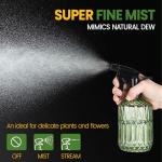 Glass Plant Mister Bottle - 13.5 oz, Adjustable Nozzle