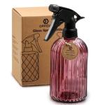 Glass Spray Bottle for Indoor Plants and Cleaning