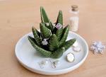Aloe Cactus Ring Holder and Jewelry Tray