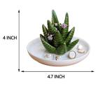 Aloe Cactus Ring Holder and Jewelry Tray