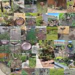 Small Metal Bird Bath for Your Garden