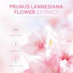 Sakura Beauty Care Set for Women and Teens