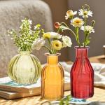 Colorful Glass Bud Vases Set of 10