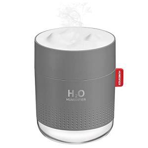 Mini Portable Cool Mist Humidifier for Home and Travel
